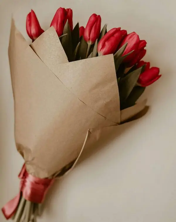 Crimson Tulip Elegance 🌷 🤍