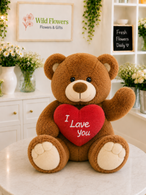 Dark Brown Stuff toy - 65cm