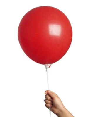 Balloons with Sticks