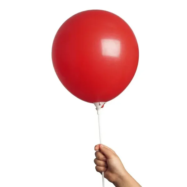Balloons with Sticks