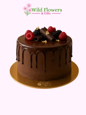 10 Cake Delight