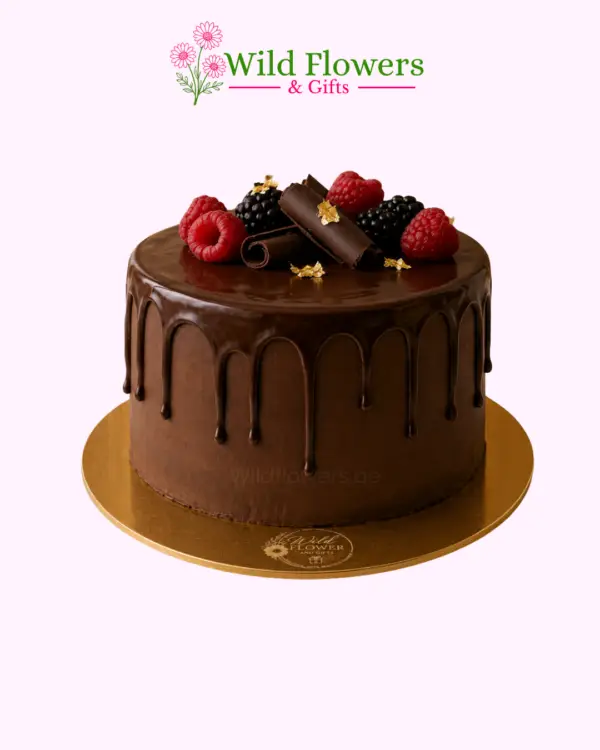 10 Cake Delight