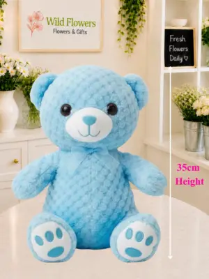 Blue Teddy Bear soft plush gift 35cm Blue Teddy Bear soft plush gift 35cm