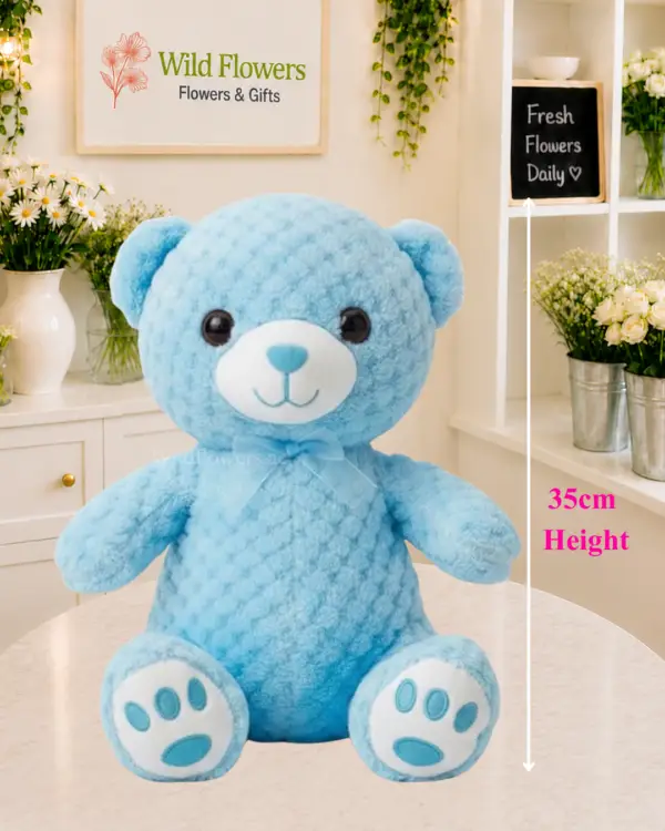 Blue Teddy Bear soft plush gift 35cm