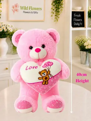 Pink Heart Teddy 40cm with Love heart gift Pink Heart Teddy 40cm with Love heart gift