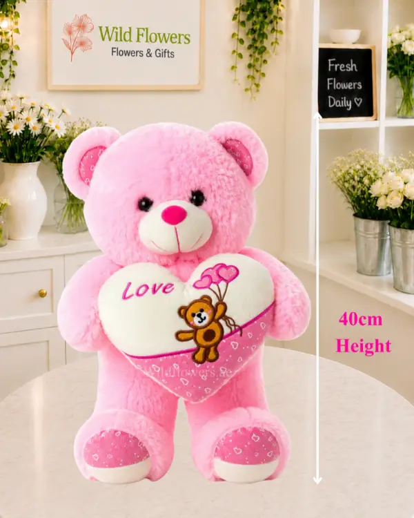Pink Heart Teddy 40cm with Love heart gift