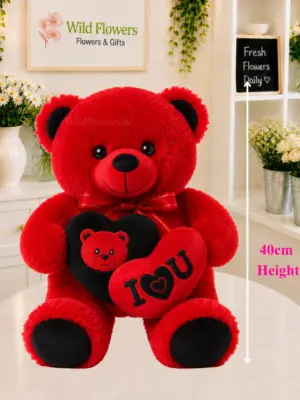 Heart Teddy Bear 40cm red plush with love heart Heart Teddy Bear 40cm red plush with love heart