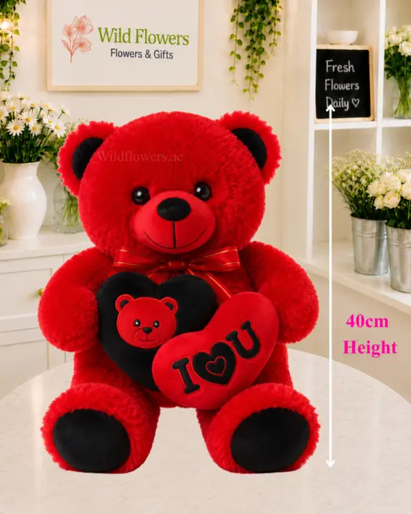 Heart Teddy Bear 40cm red plush with love heart Heart Teddy Bear 40cm red plush with love heart