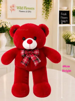 Red Teddy Bear 60cm plush toy with plaid bow Red Teddy Bear 60cm plush toy with plaid bow