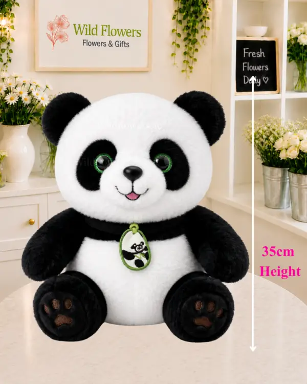 Cute Panda Plush 35cm black and white soft toy