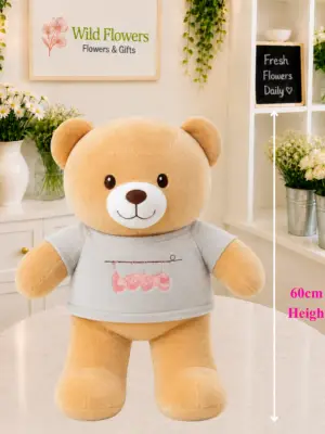 Love Teddy Bear 60cm with grey Love shirt Love Teddy Bear 60cm with grey Love shirt