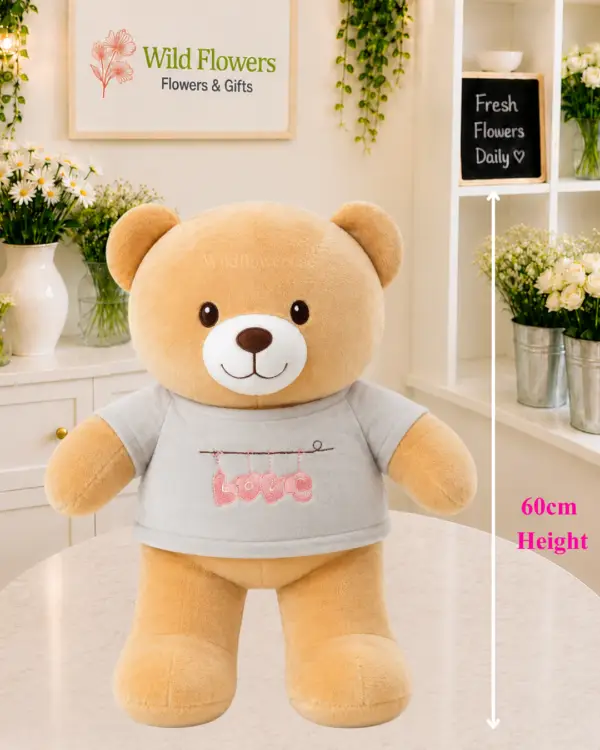 Love Teddy Bear 60cm with grey Love shirt Love Teddy Bear 60cm with grey Love shirt