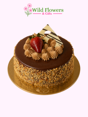 2 Cake Dream