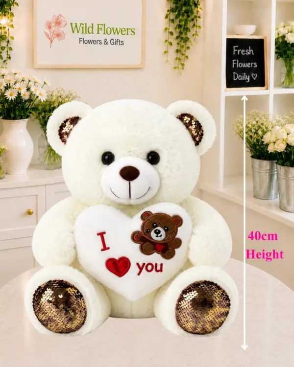 omantic Teddy Bear with I Love You heart design omantic Teddy Bear with I Love You heart design