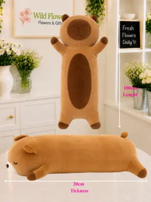 Long Bear Pillow 100cm soft brown plush gift