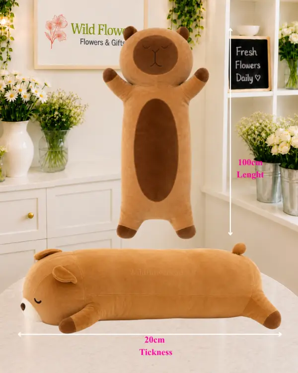 Long Bear Pillow 100cm soft brown plush gift