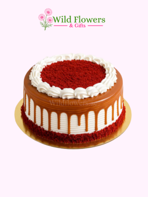 Crimson Drip Cake with cream and drip decoration Crimson Drip Cake with cream and drip decoration