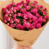 50 Fuchsia Spray Roses