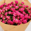 51 Fuchsia Spray Roses
