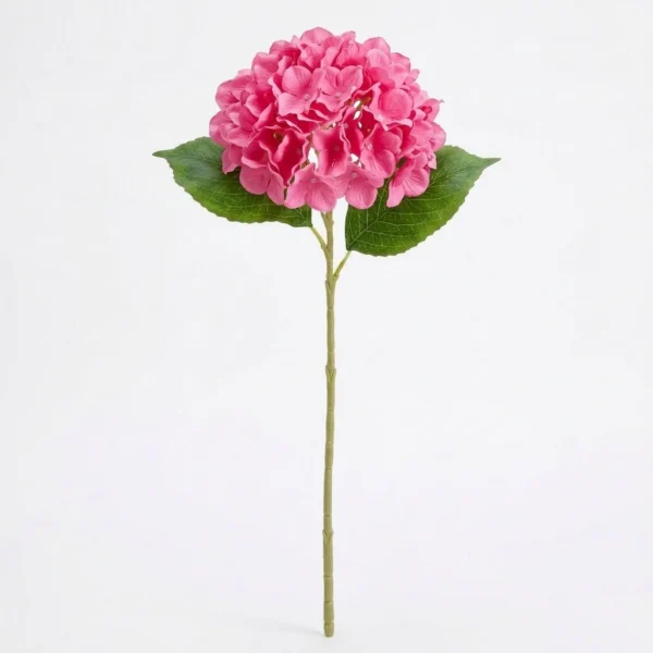 Pink hydrangea flower stem with green leaves on white background Pink hydrangea flower stem with green leaves on white background
